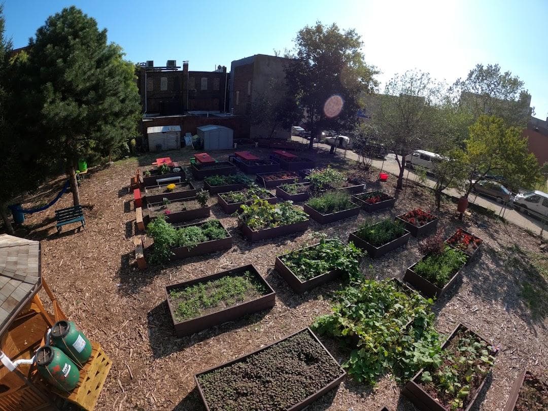 Fred McLeod Community Garden photo 1