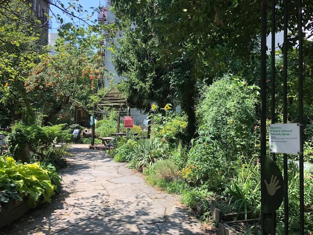 6th Street & Avenue B Community Garden photo 2