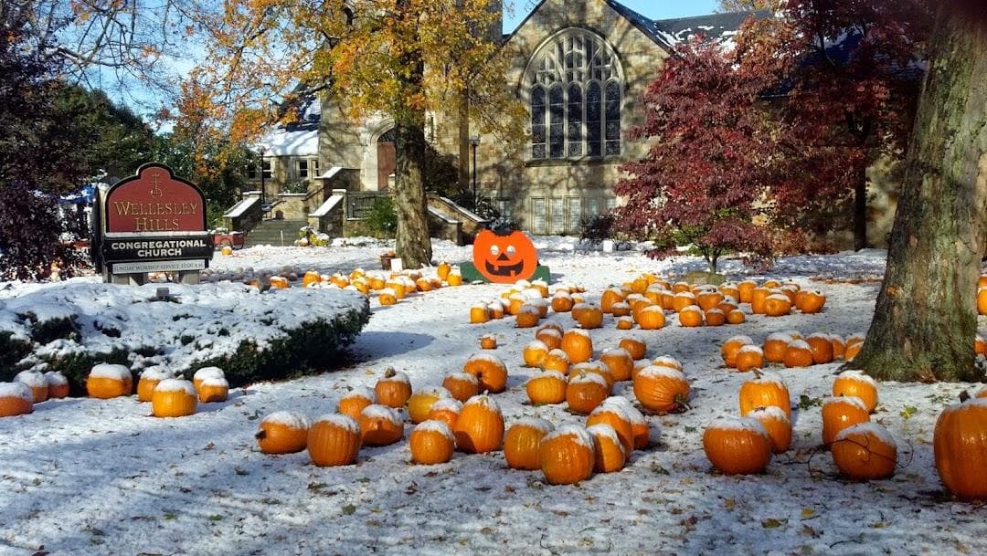 Wellesley Hills Congregational photo 3