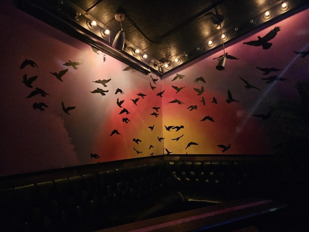 Blackbird Ordinary photo 4