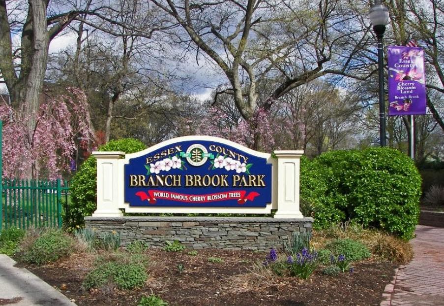 Branch Brook Park photo 2
