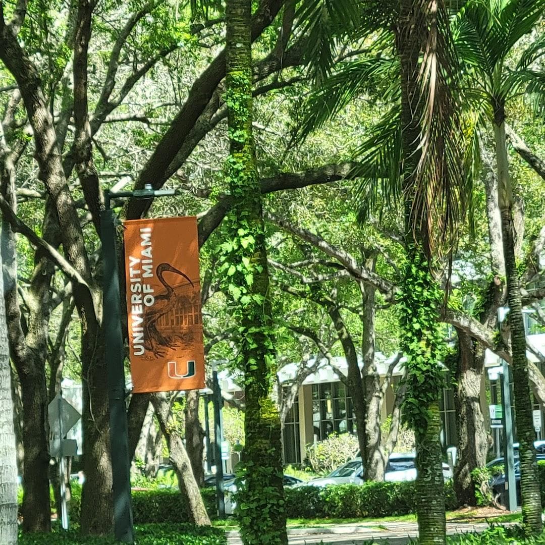 University of Miami School of Law photo 3