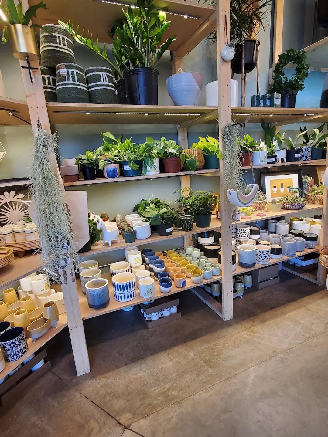 PlantHouse photo 6