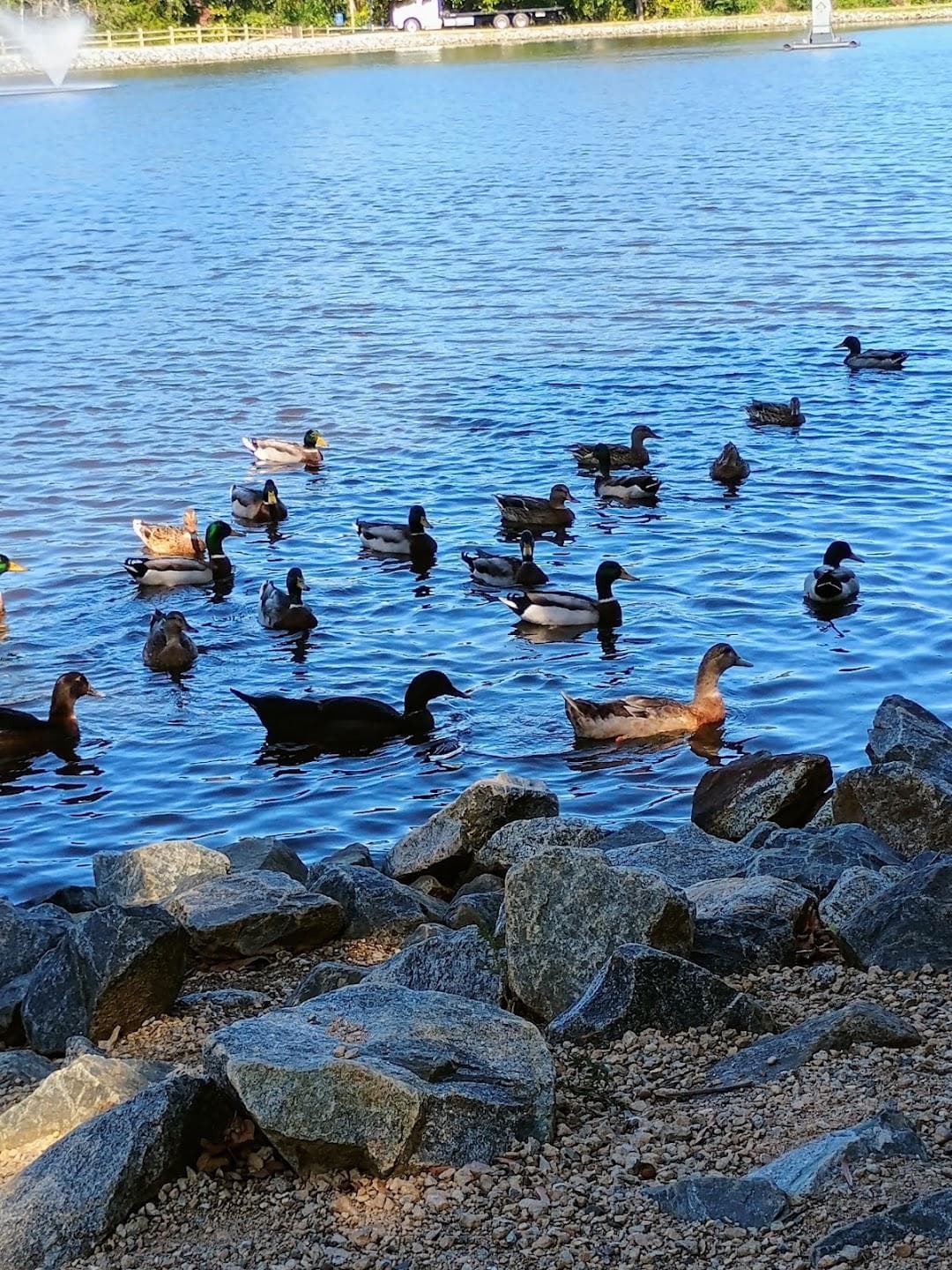 Frank Liske Park photo 4
