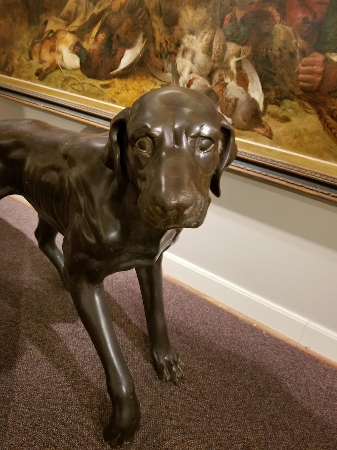 AKC Museum of the Dog photo 3