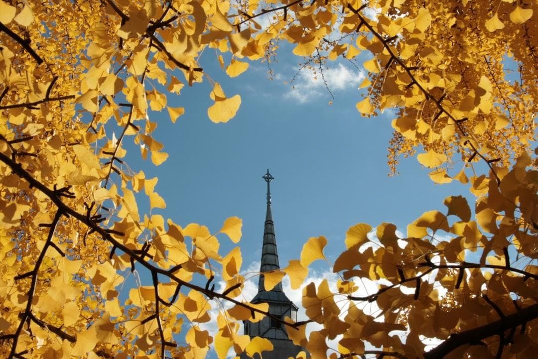 Christ Episcopal Church photo 4
