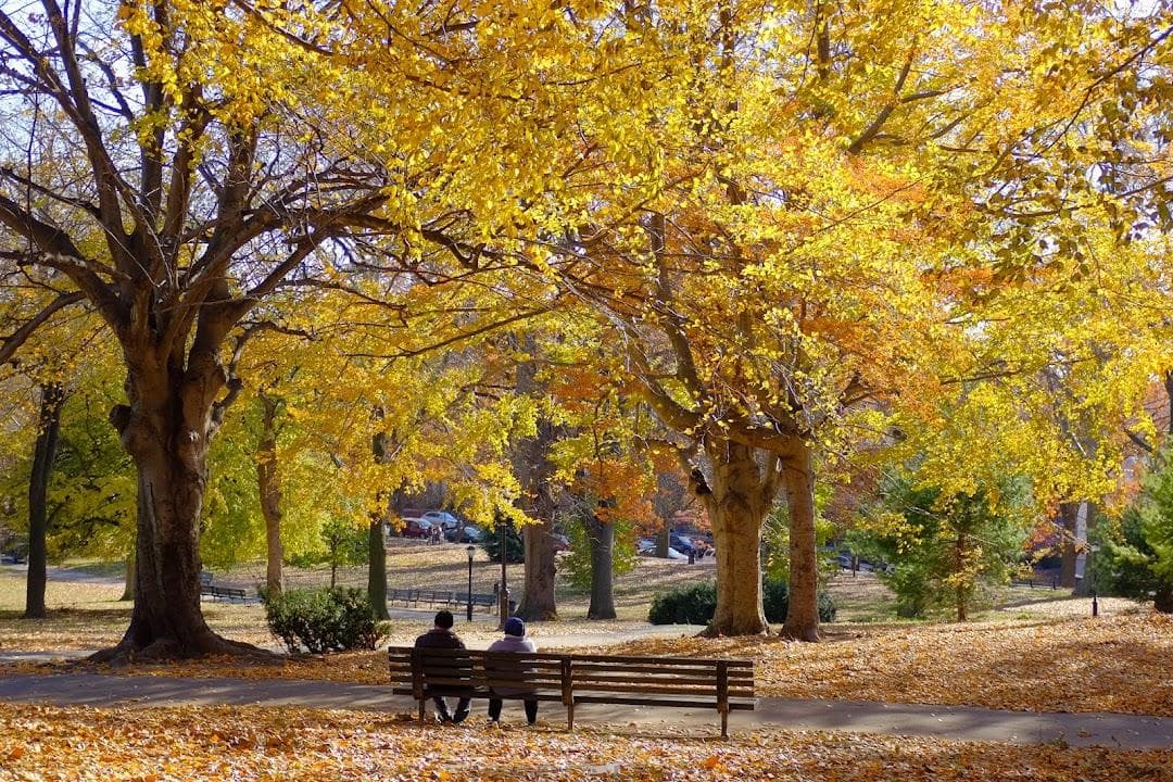 Owl's Head Park photo 5