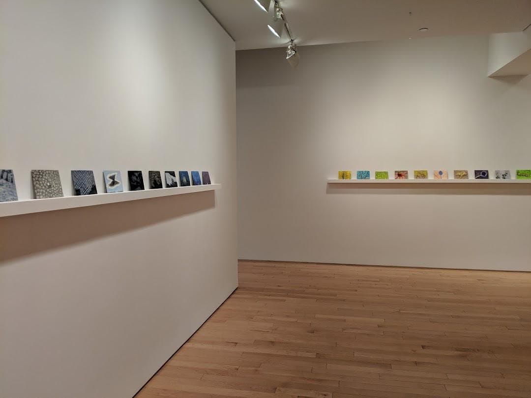 Alexandre Gallery photo 6