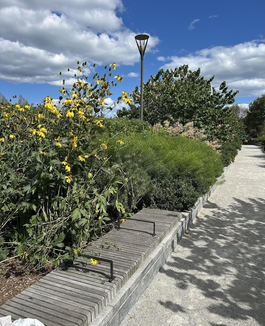 Carolyn Lynch Gardens photo 1