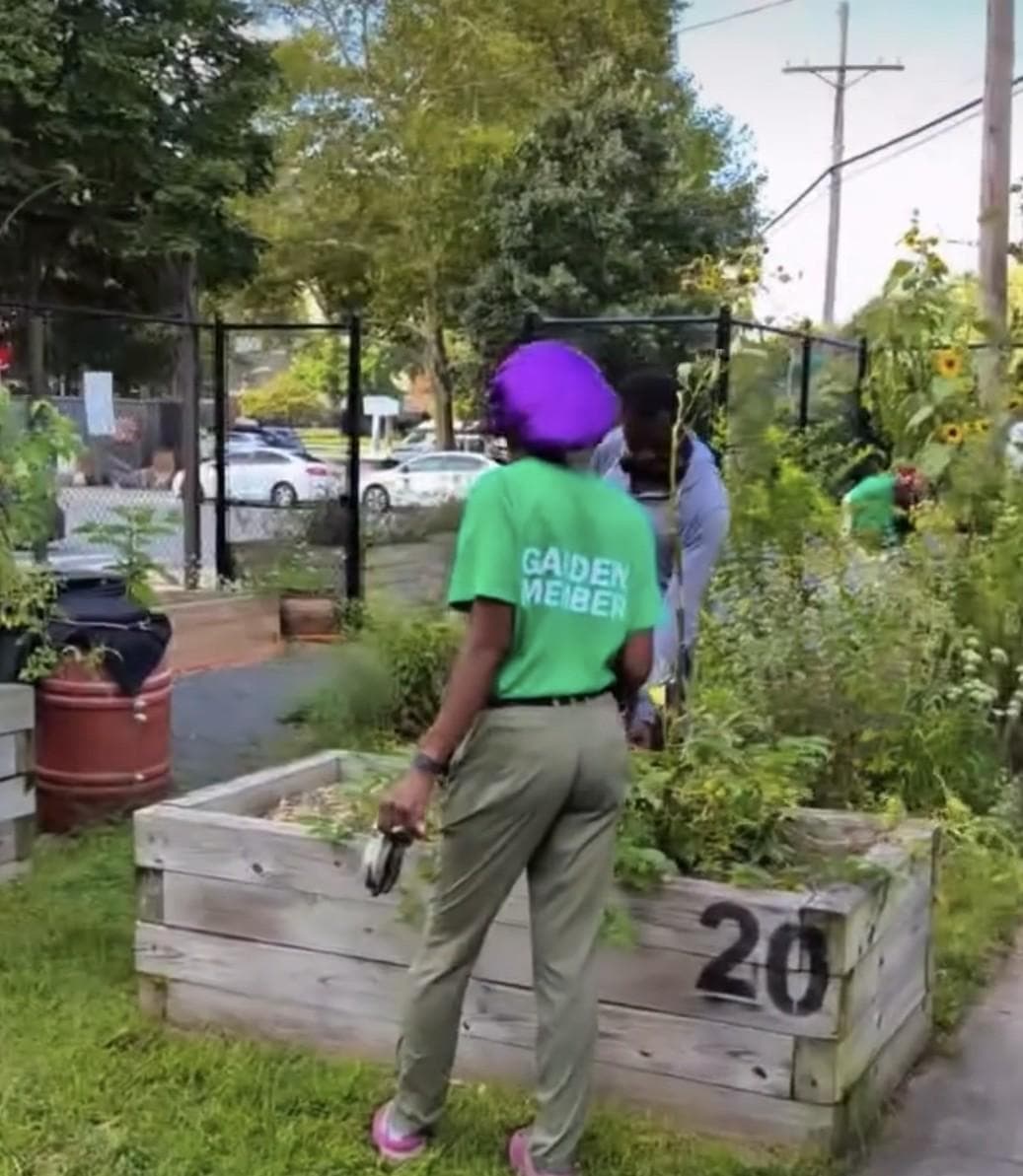 Curtis "50 Cent" Jackson Community Garden photo 1