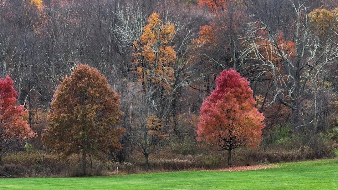 Christie Hoffman Farm Park photo 6