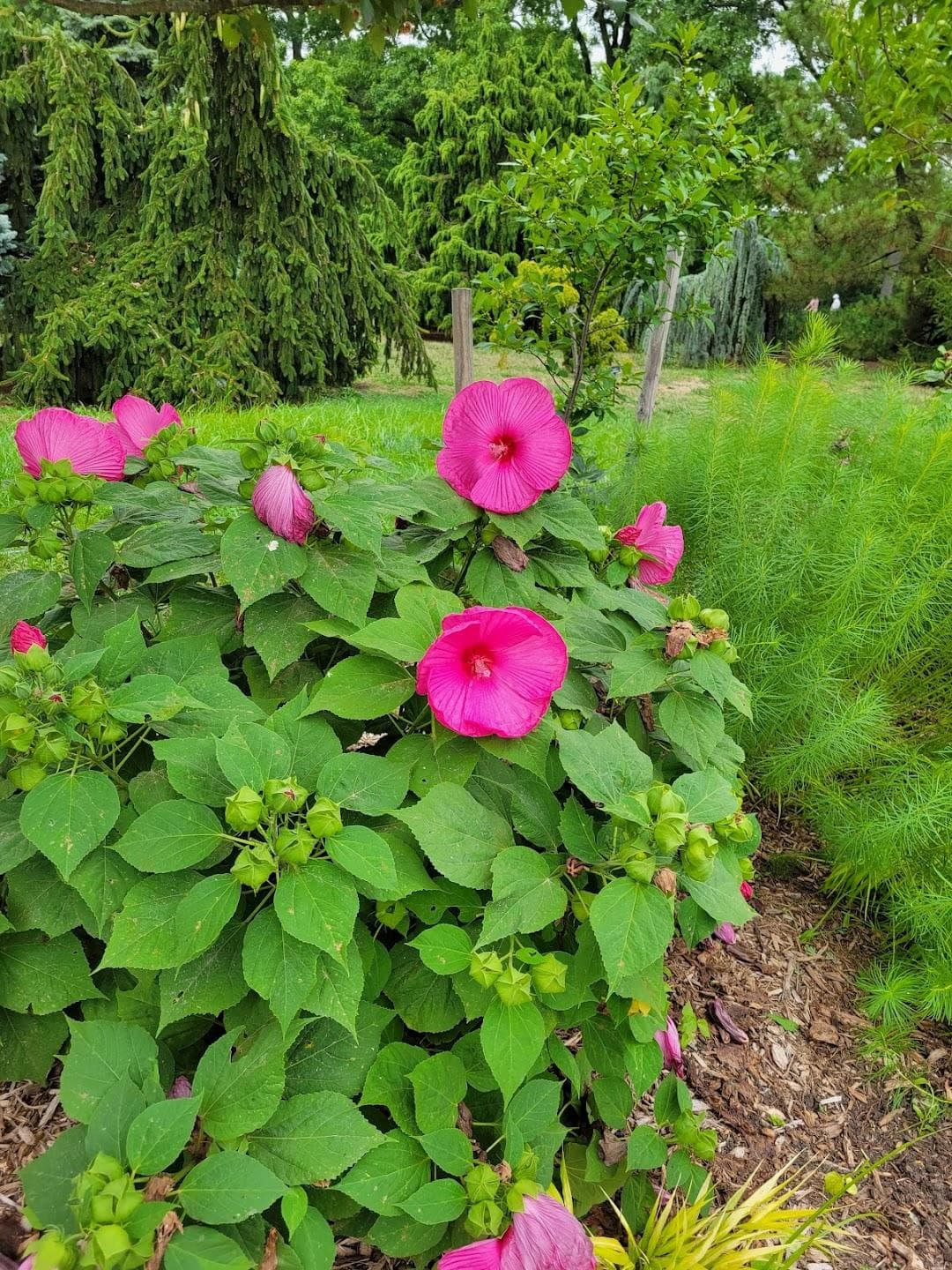 Queens Botanical Garden photo 5