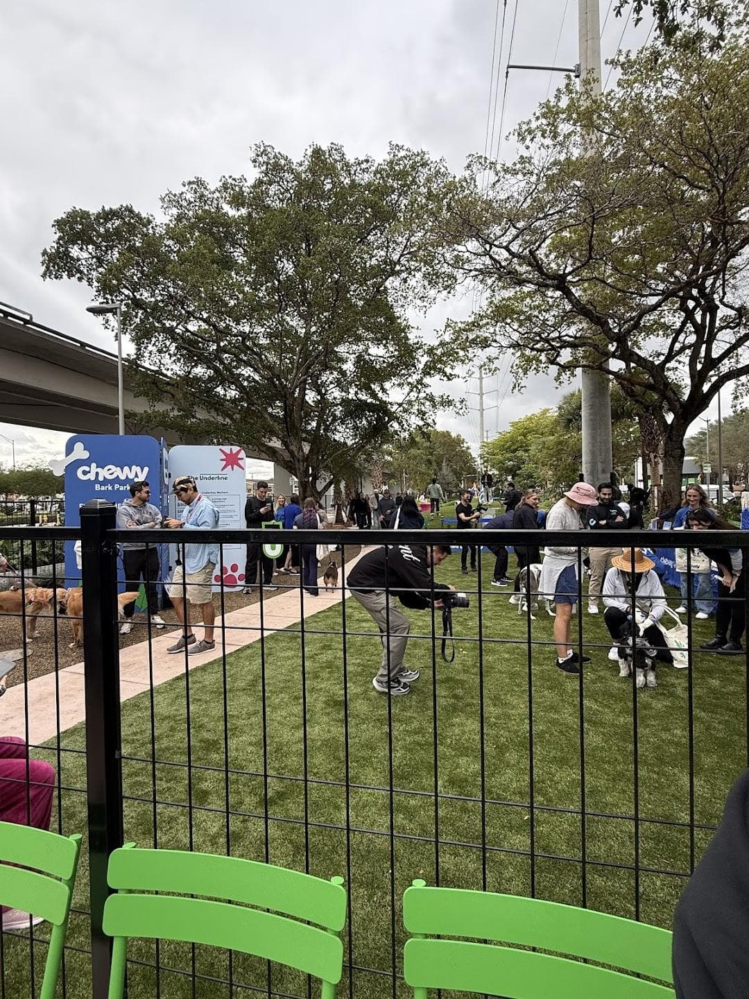 Chewy Bark Park - Coral Gables photo 2