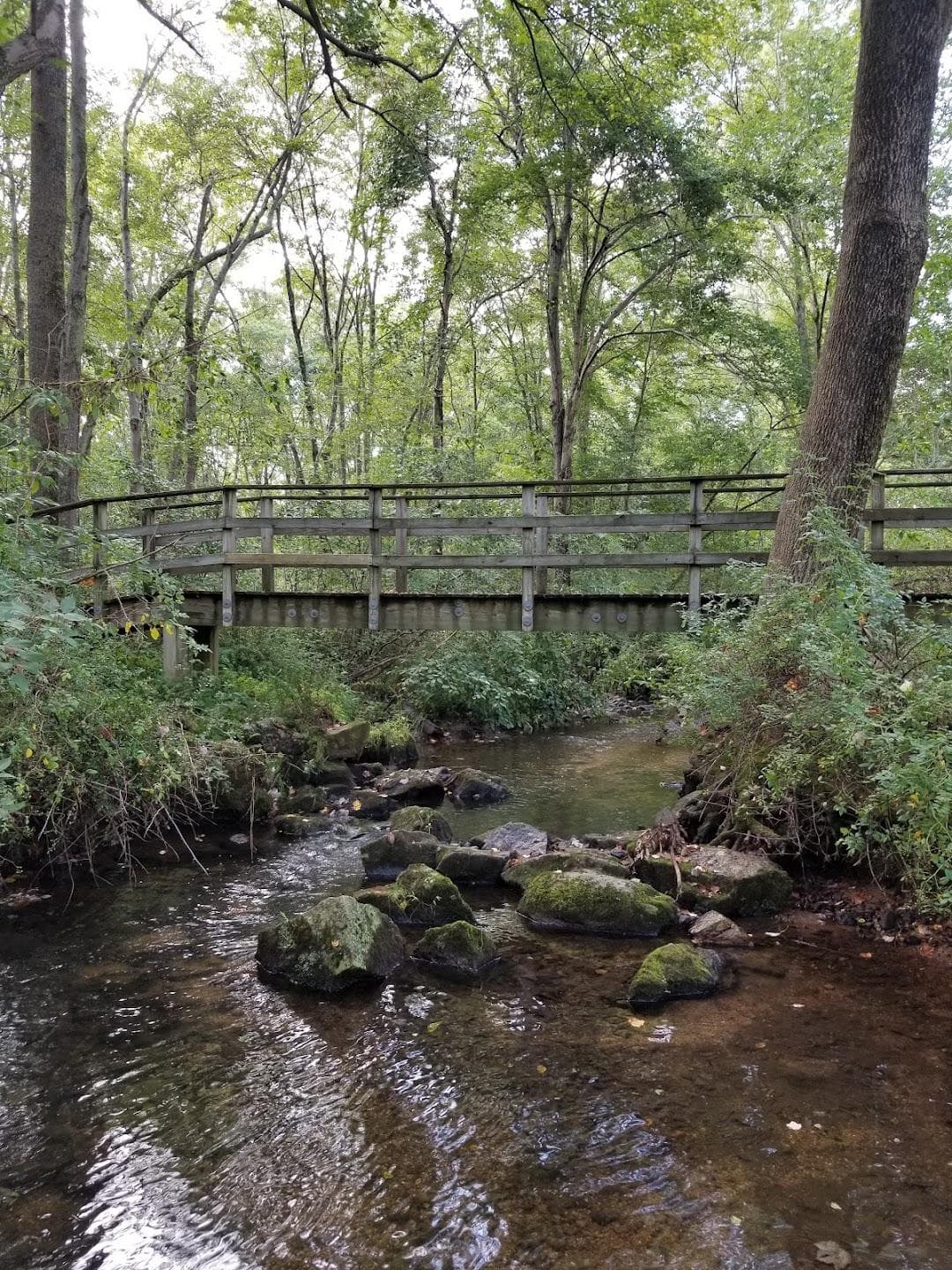 Christie Hoffman Farm Park photo 2