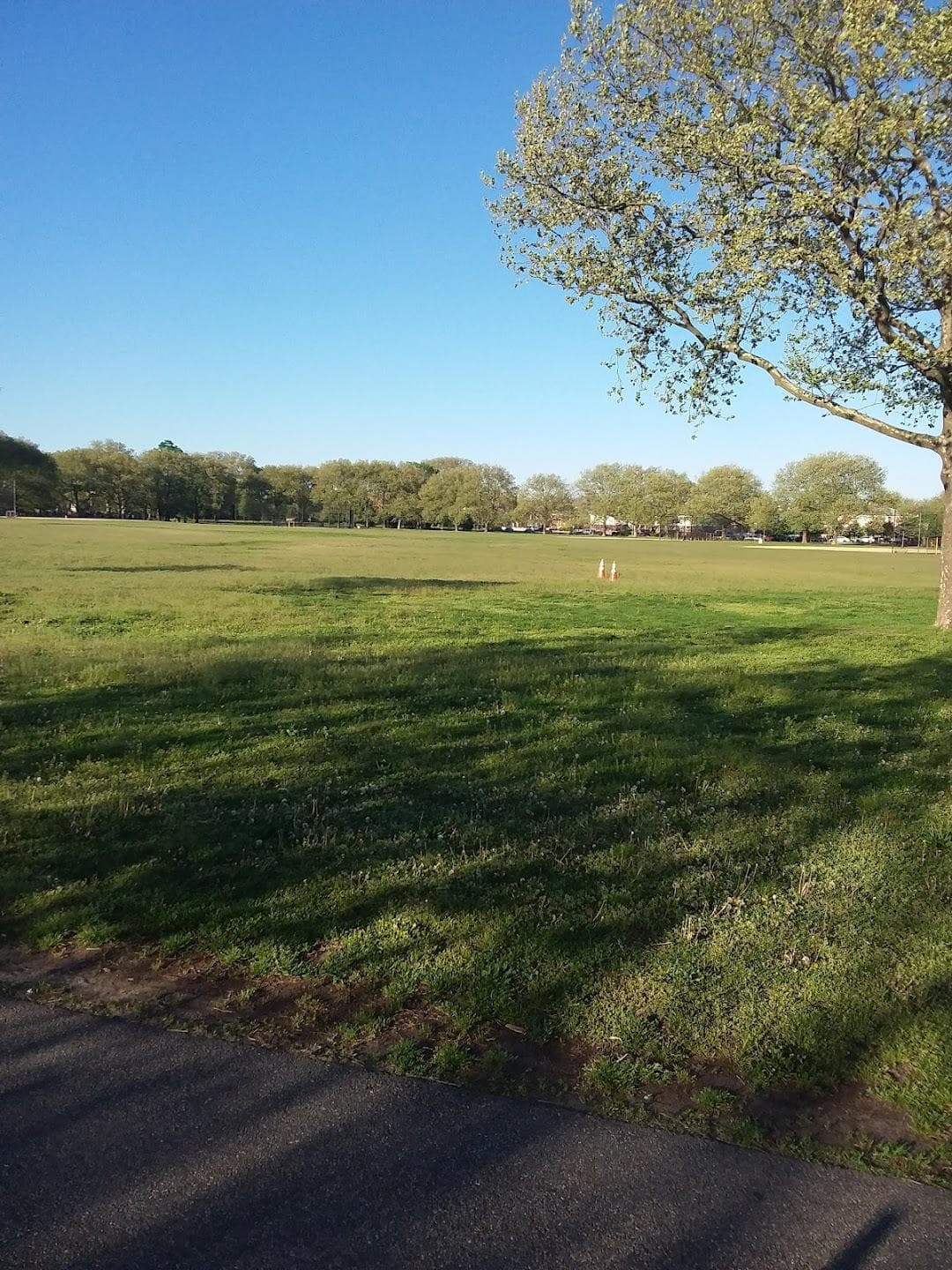 Canarsie Park House photo 2