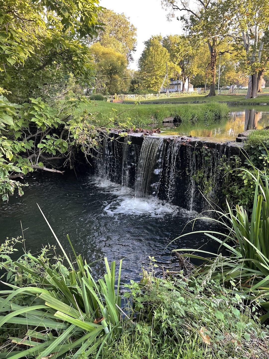 Graeme Park photo 6