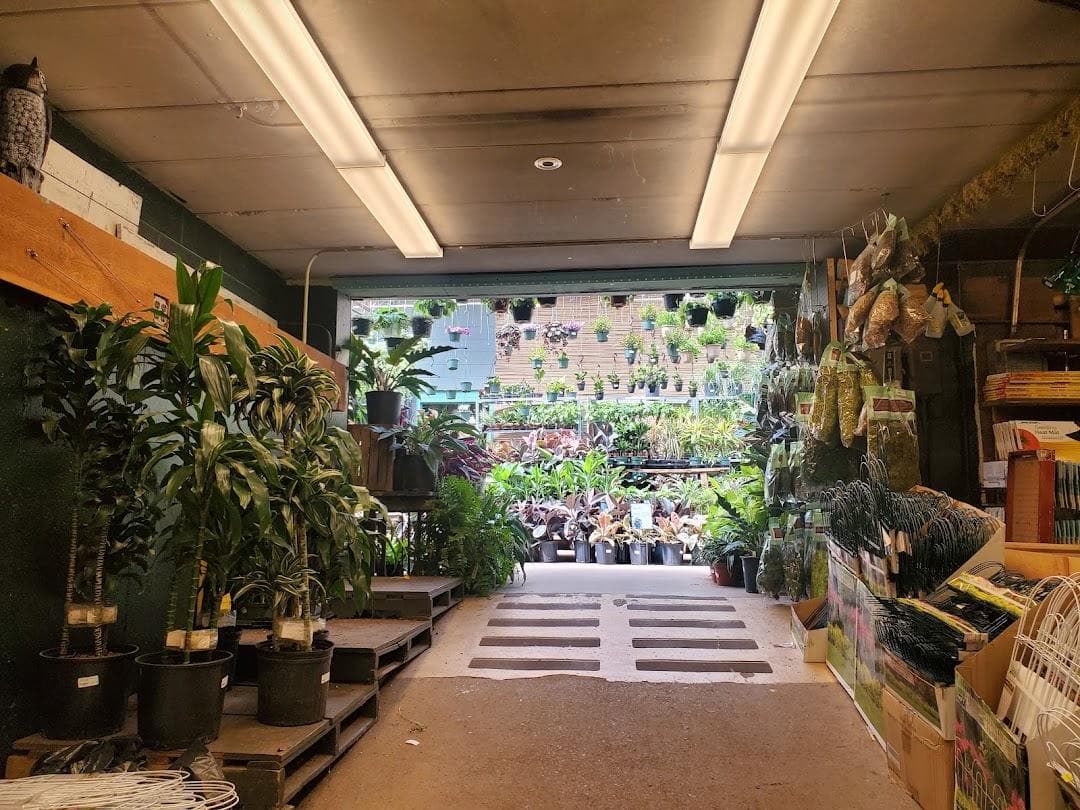 Mahoney's Garden Center photo 2
