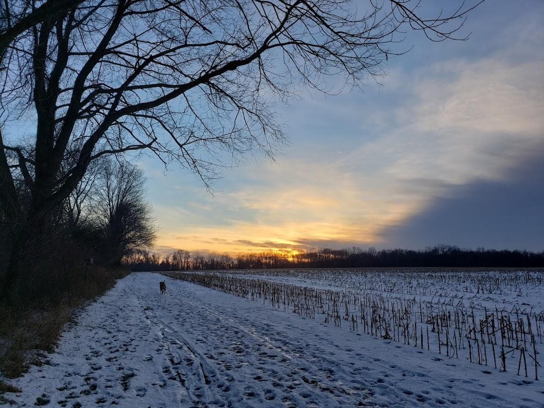 Christie Hoffman Farm Park photo 3