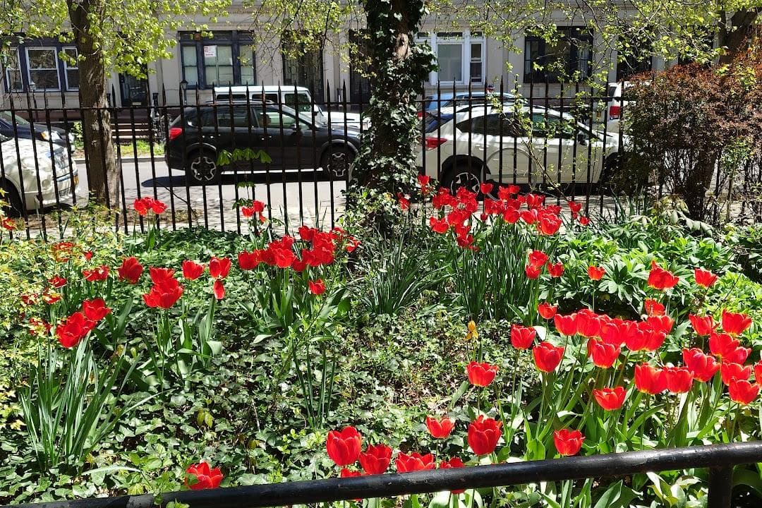 Fulton Park photo 2