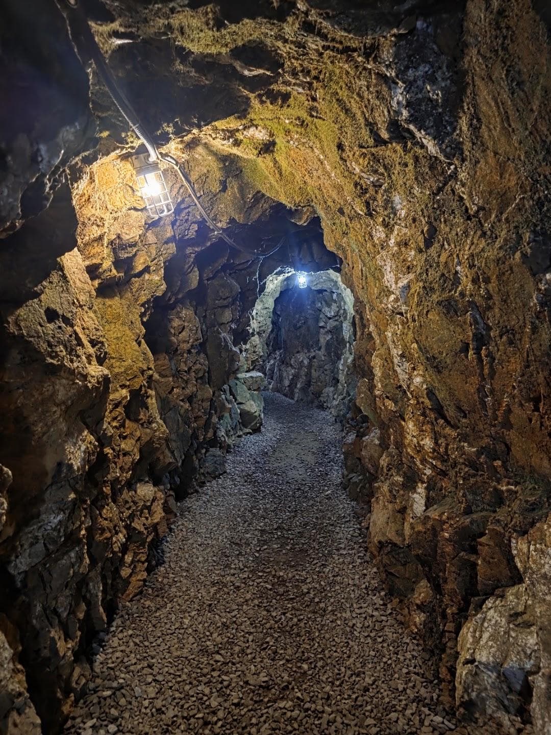 Reed Gold Mine photo 2