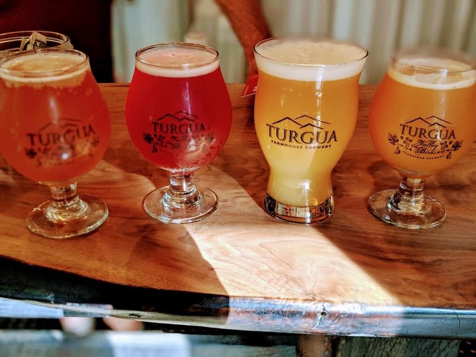 Turgua Brewing photo 1