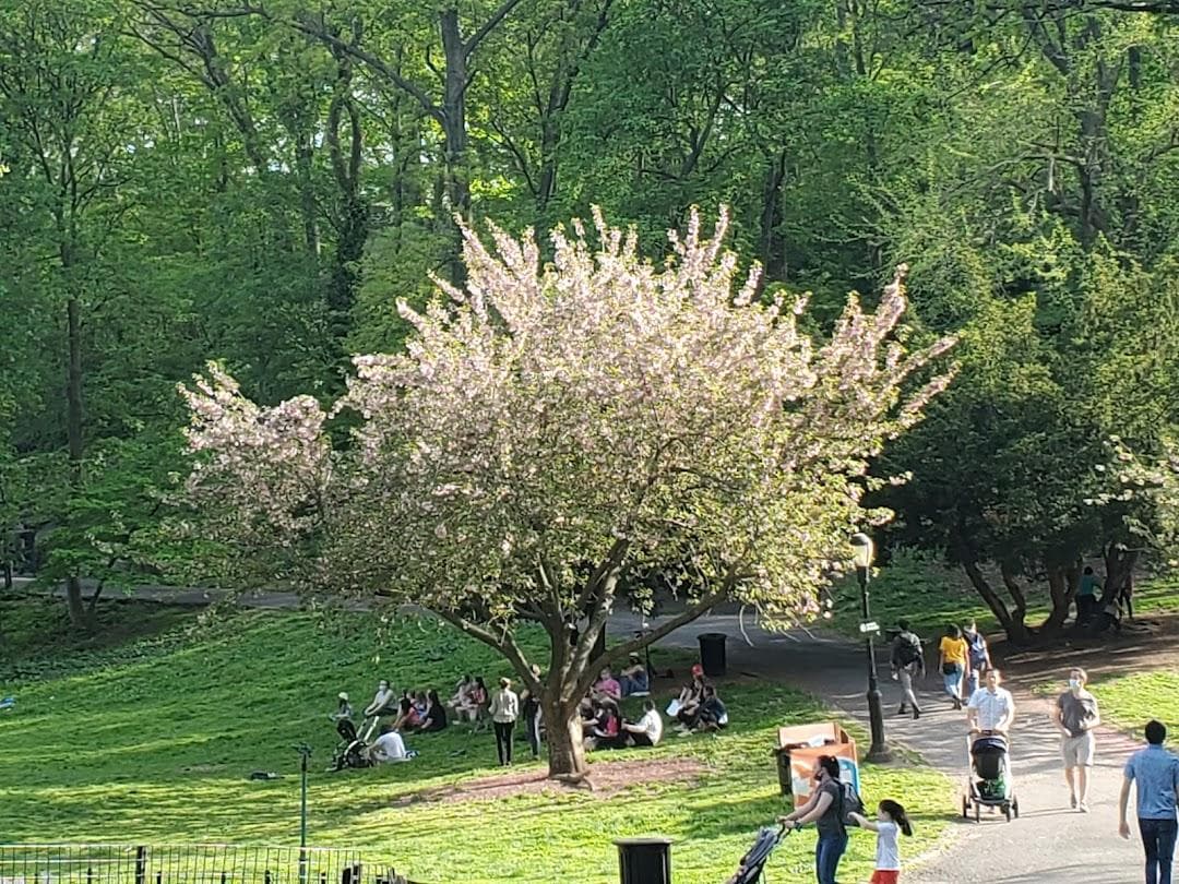 Anne Loftus Playground photo 3