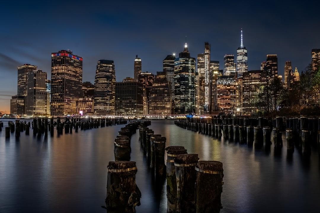 Brooklyn Bridge Park - Pier 1 photo 6