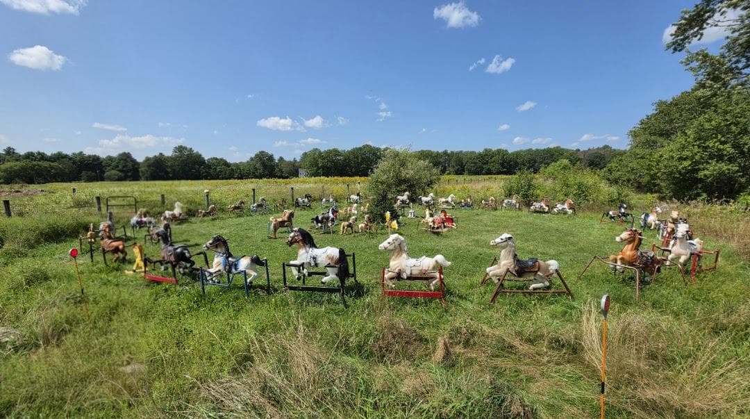 Ponyhenge photo 3