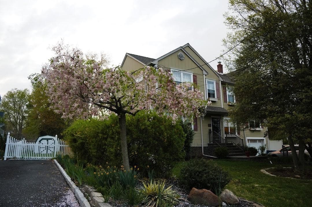 Fanwood photo 4