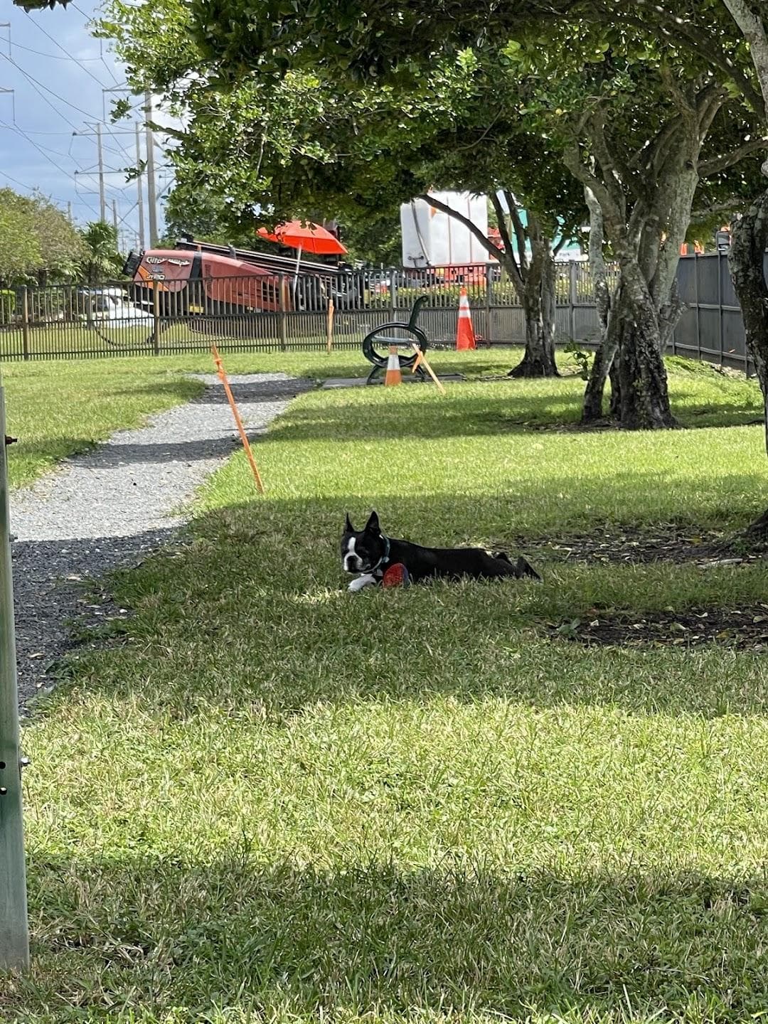Trails & Tails Park photo 2