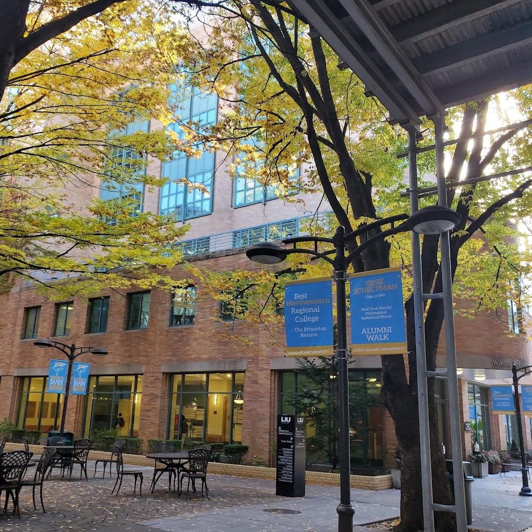 Long Island University Brooklyn photo 2