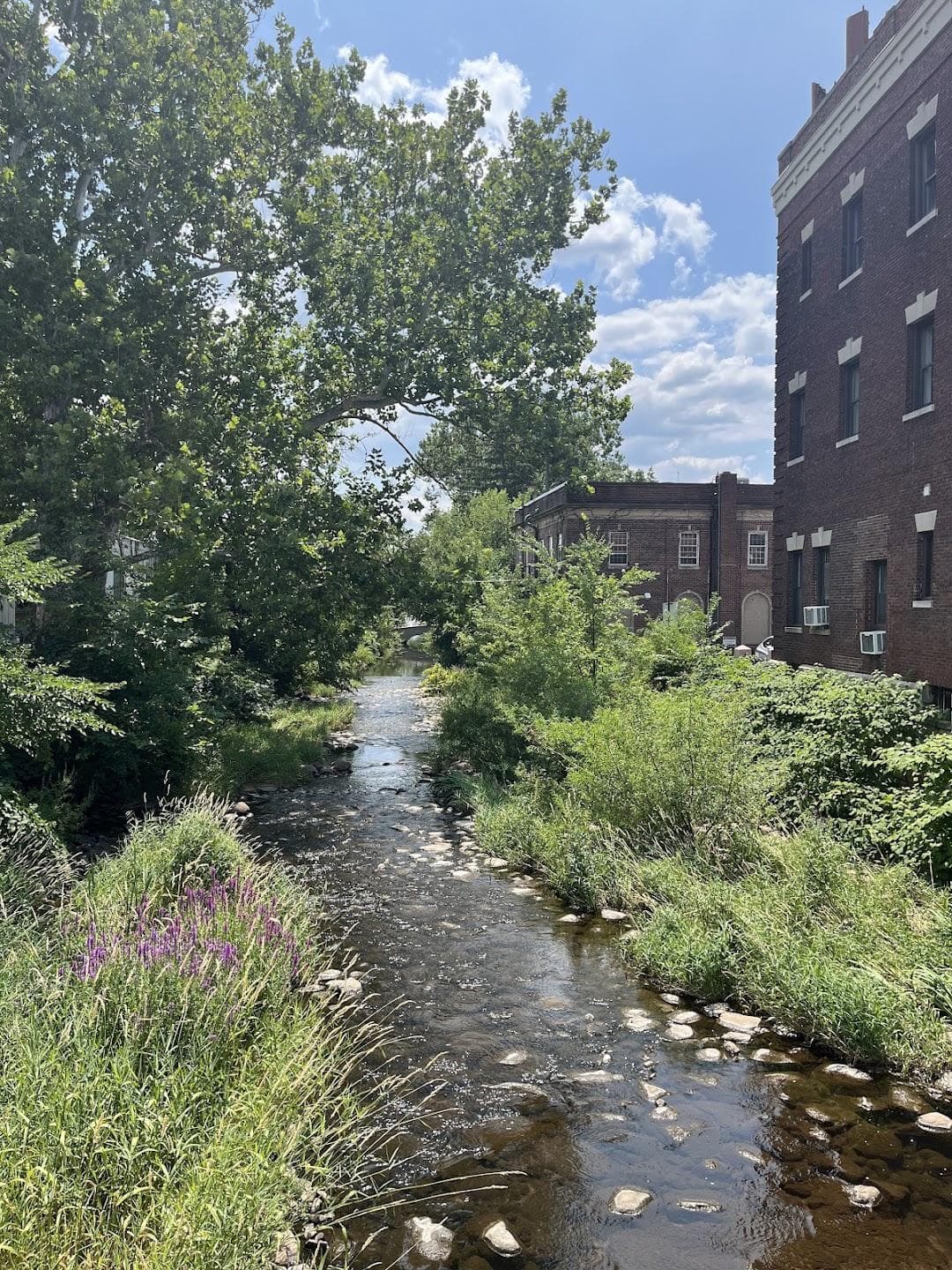 Taylor Park photo 6