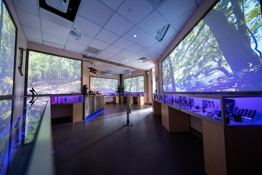 Purple Owl Dispensary photo 5