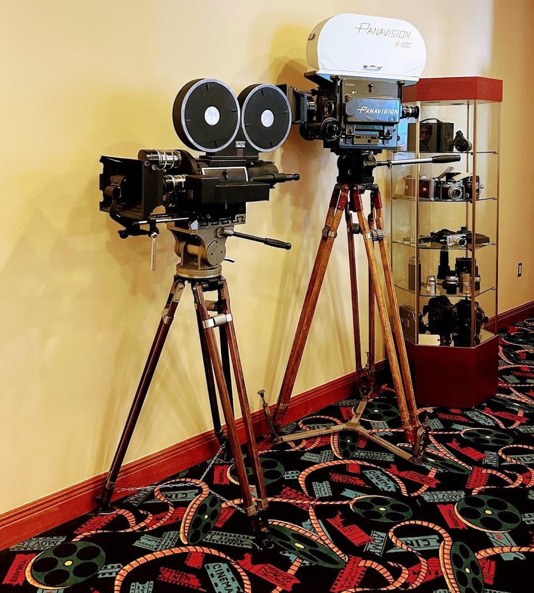Coral Gables Art Cinema photo 4