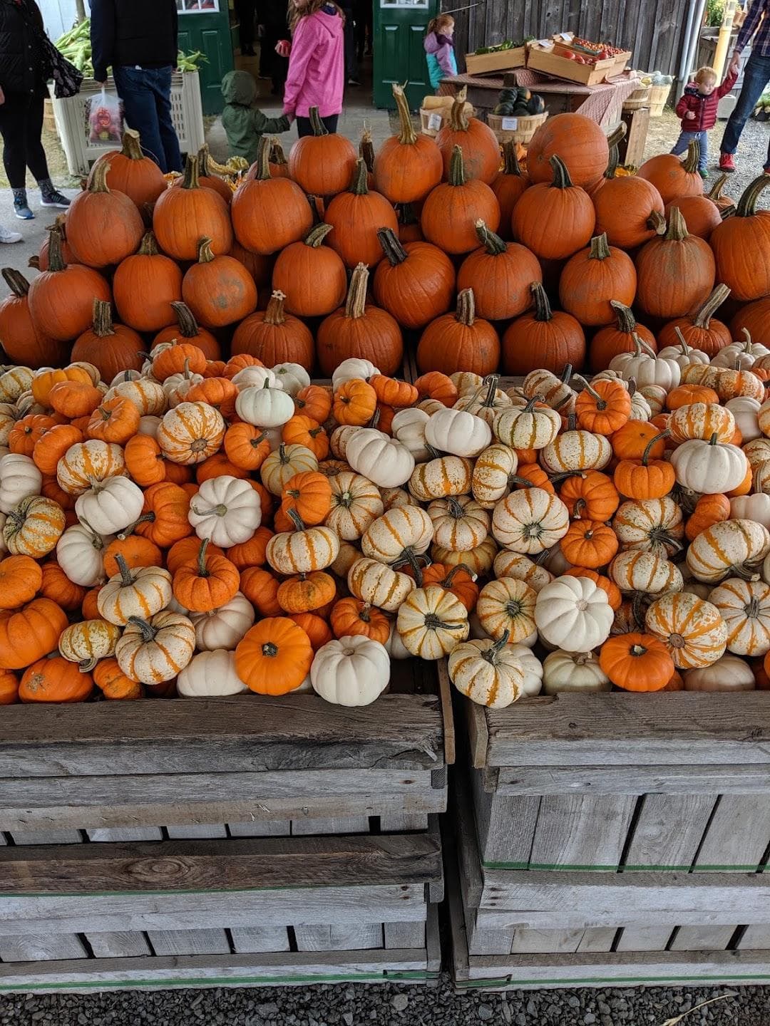 Carlson Orchards, Inc photo 2