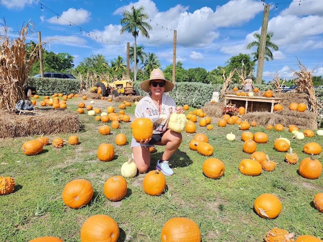 The Berry Farms photo 3