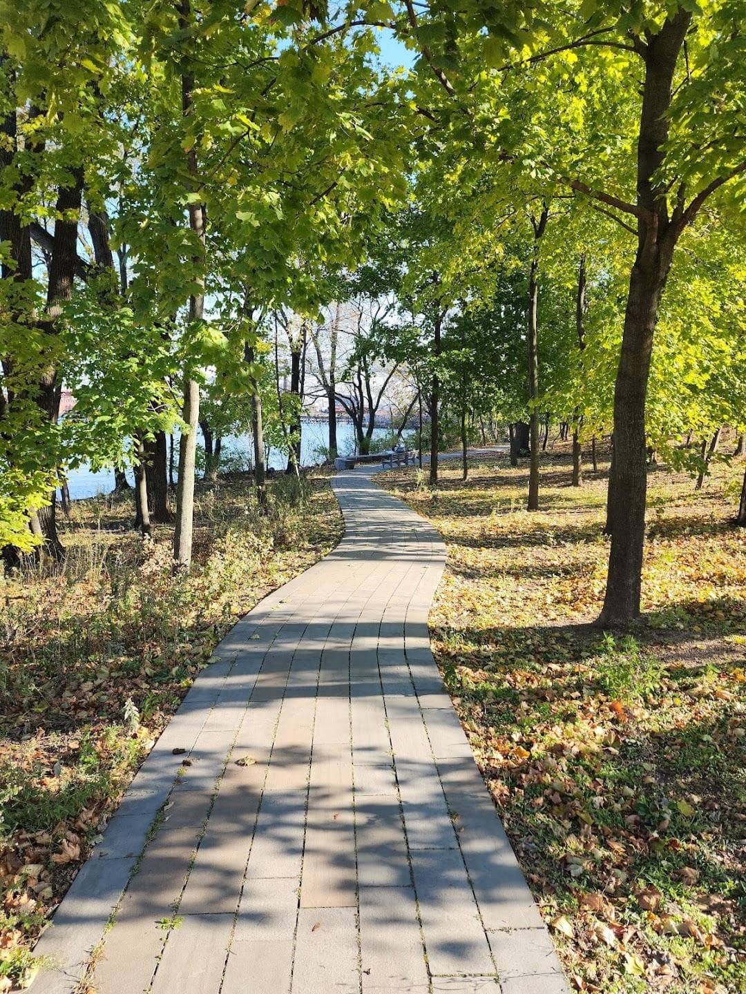 Richmond Terrace Park photo 2