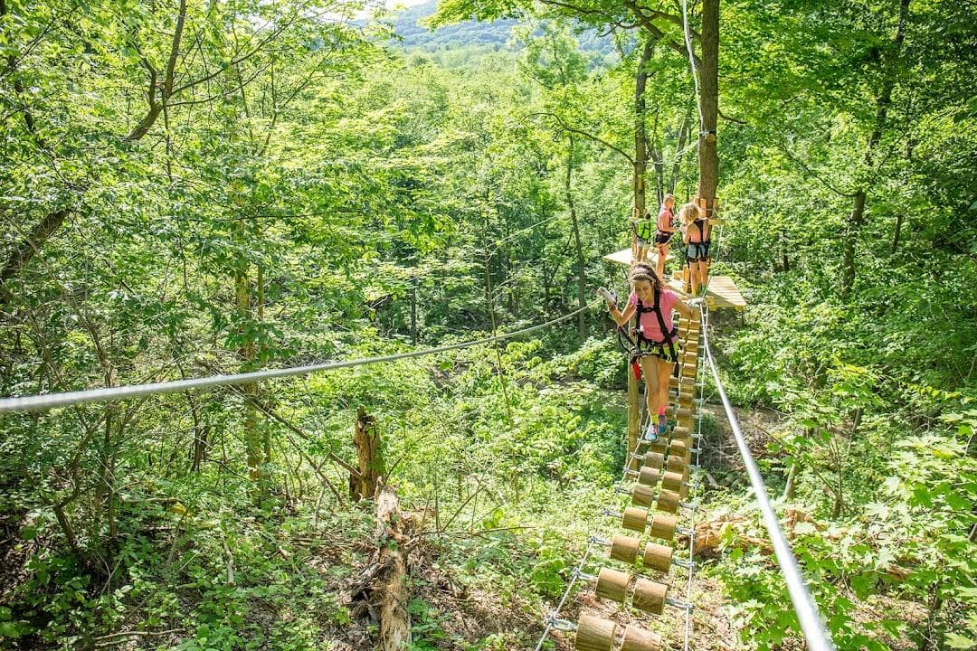 Treescape Aerial Adventure Park photo 3