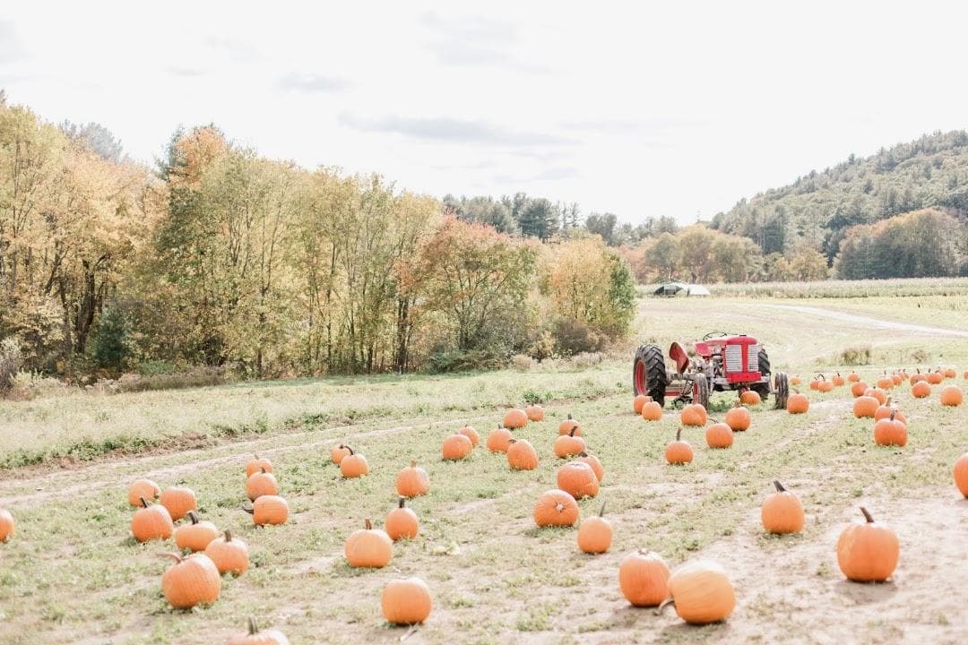 Hanson's Farm photo 1