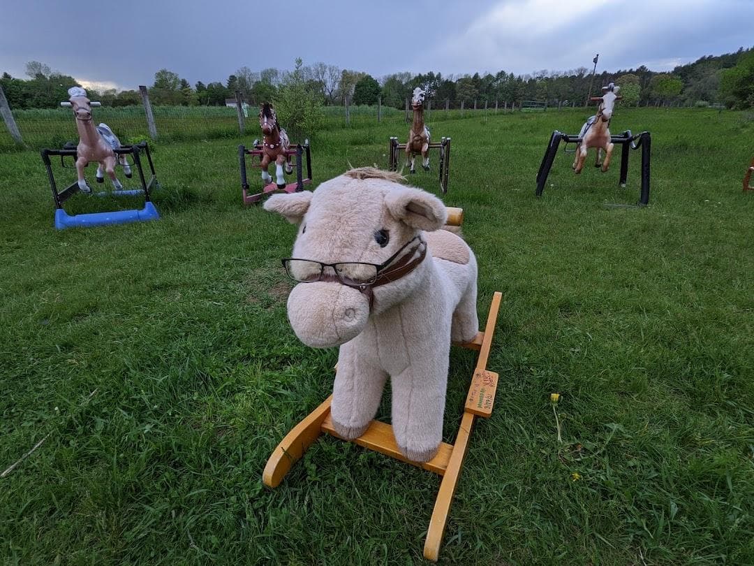 Ponyhenge photo 2