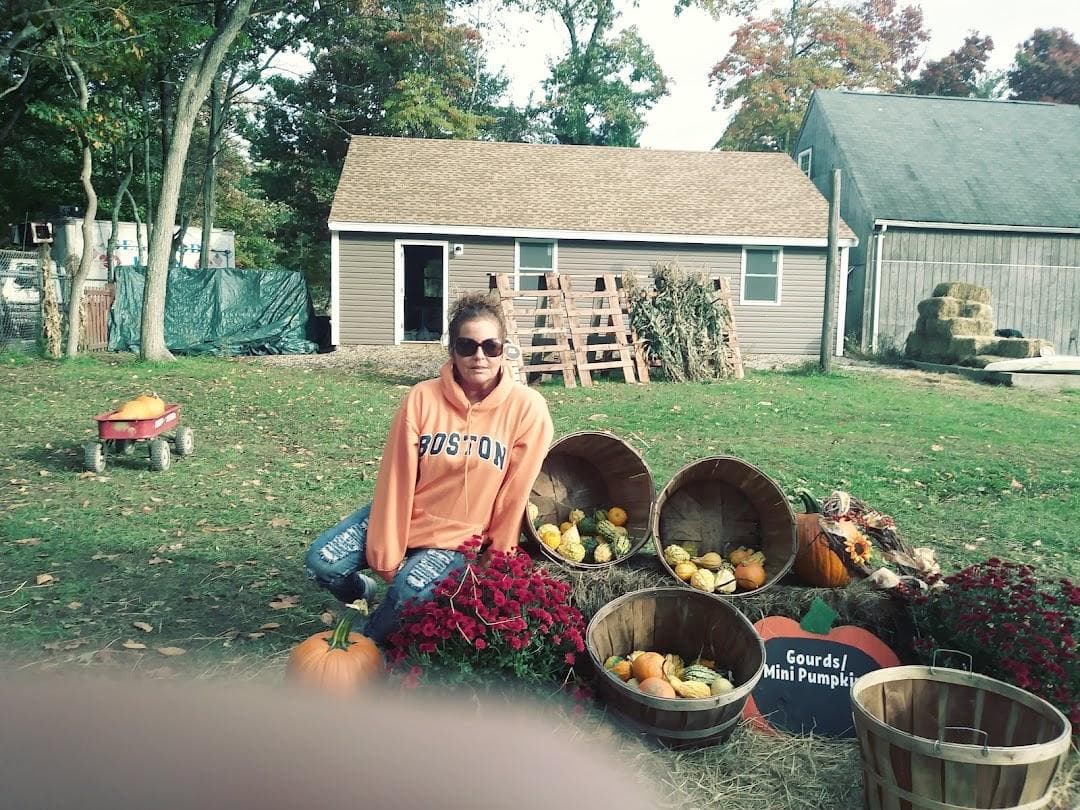 Nihtila Farm photo 1