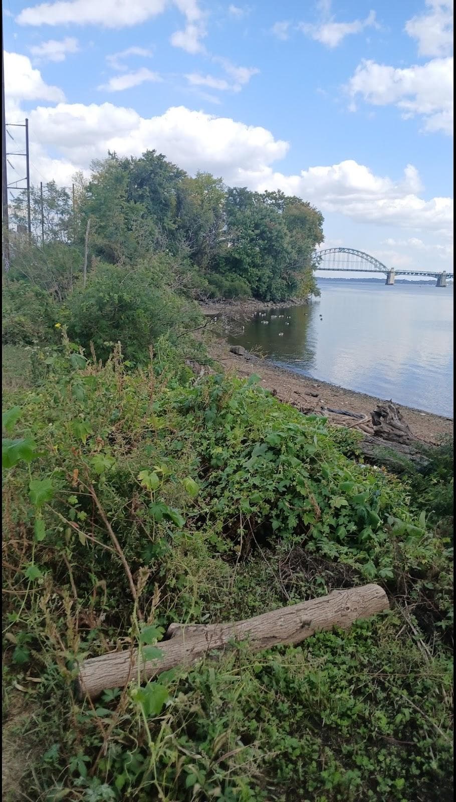 Riverfront North Partnership photo 6