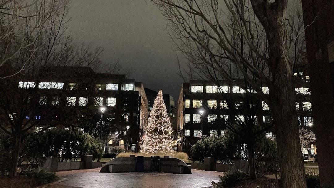 University Park Commons photo 3
