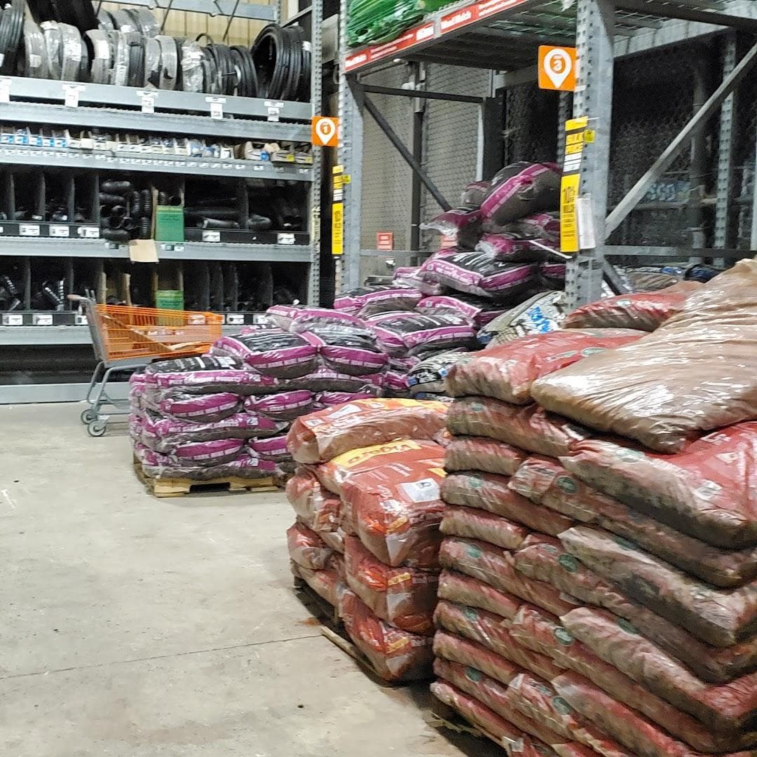 The Home Depot photo 1