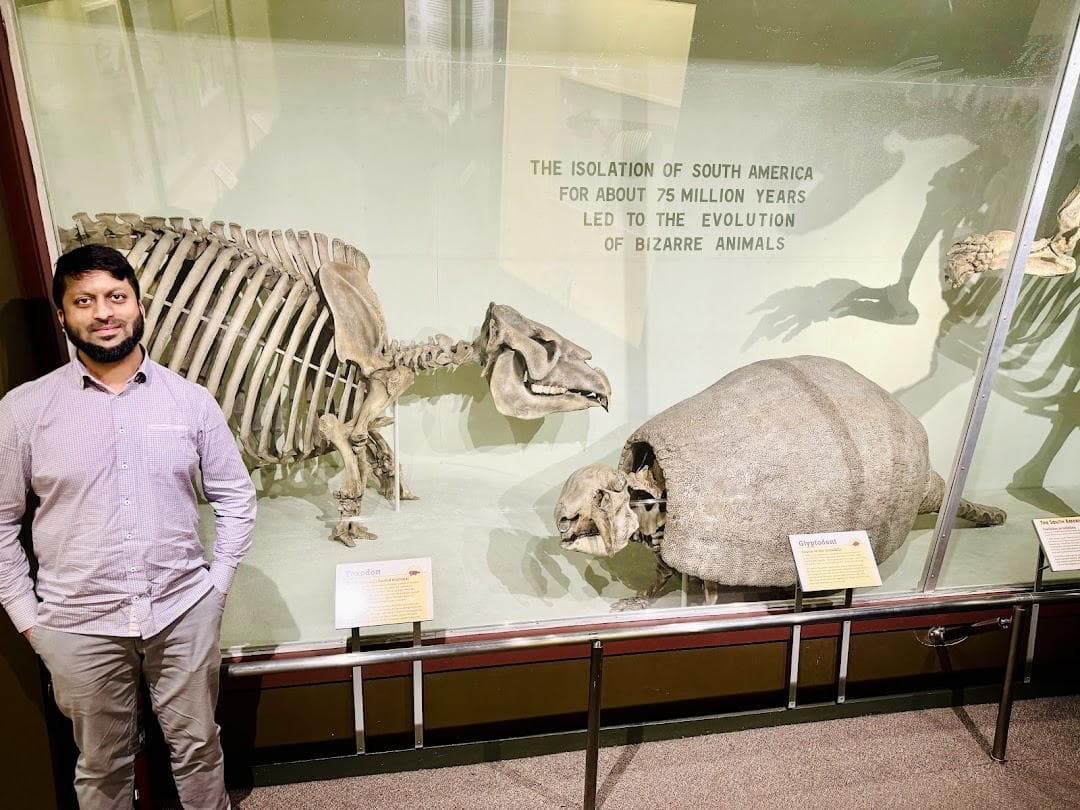 The Harvard Museum of Natural History photo 3