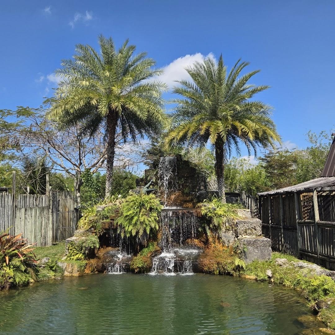 Everglades Alligator Farm photo 6