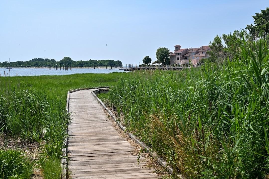 Seaside Wildlife Nature Park photo 6