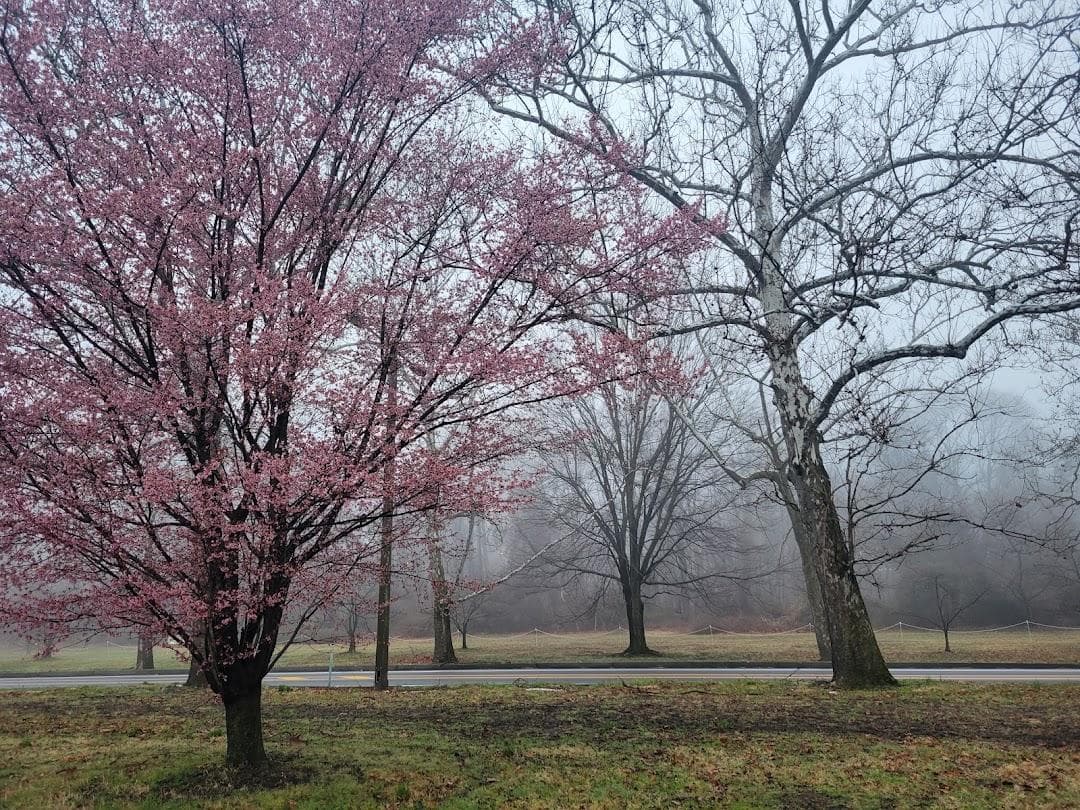 Schuylkill River Trail photo 1