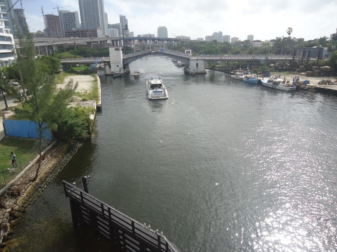 Miami photo 3