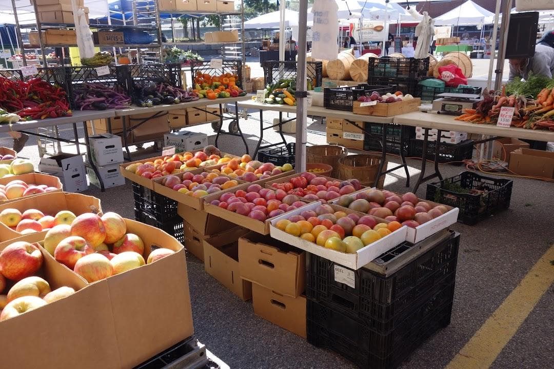 SoWa Open Market photo 1